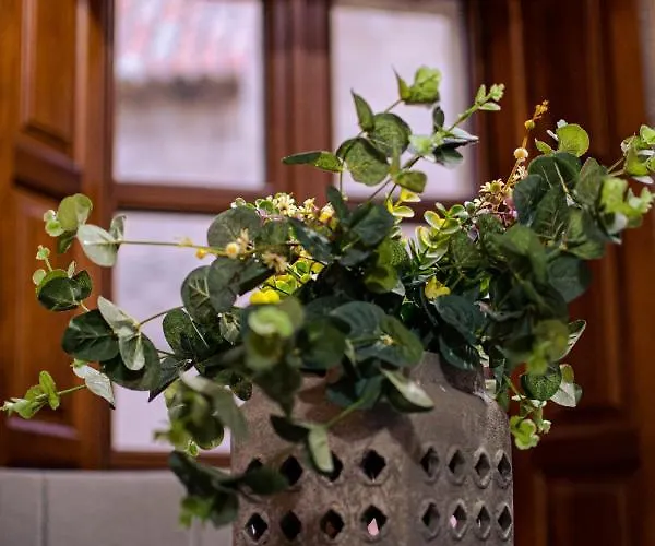 Apartamento S-xviii La Ranita Salmantina Апартаменти *